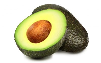 Aguakatea grasa begetala