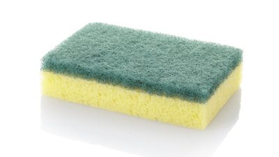 belaki eta espartzuak bakterioak