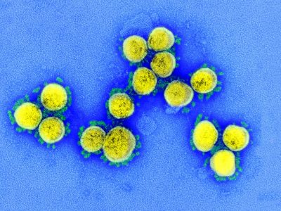 Coronavirus