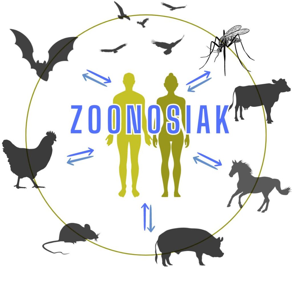 zoonosia